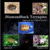 Diamondback Terrapins: Gems of the Turtle World - Lee and Chew