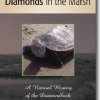 Diamonds in the Marsh - Barbara Brennessel