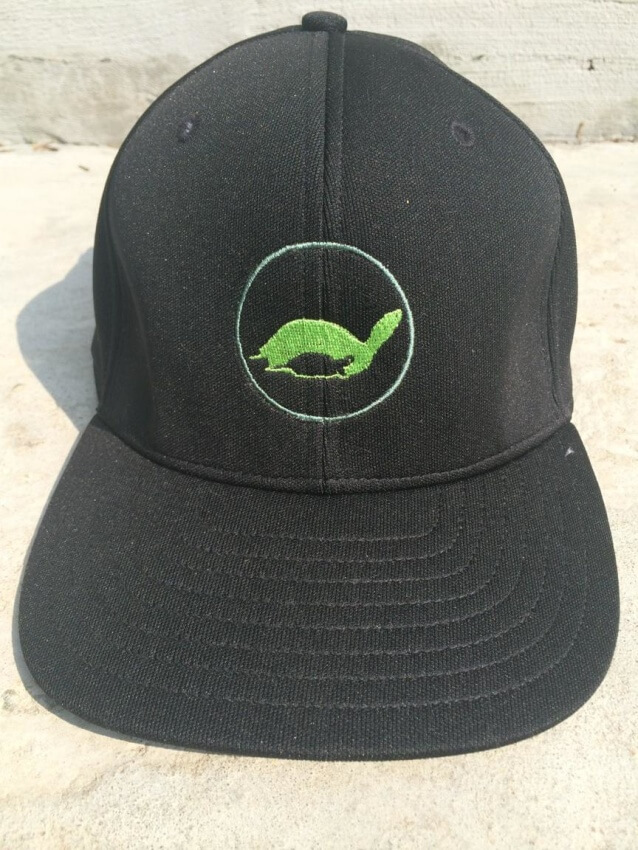 theTurtleRoom 2016F FlexFit Hat - Black