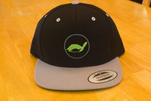 theTurtleRoom 2016 Snapback Hat - Black/Silver