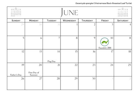 2016 Turtle Calendar - June