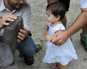 Anthony's daughter meeting a Galapagos Tortoise