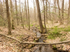 Habitat in Lebanon County, PA