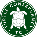 Turtle Conservancy, a partner of theTurtleRoom