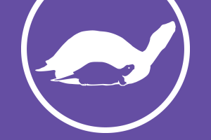 tTR Logo Shirt, One Color on Purple