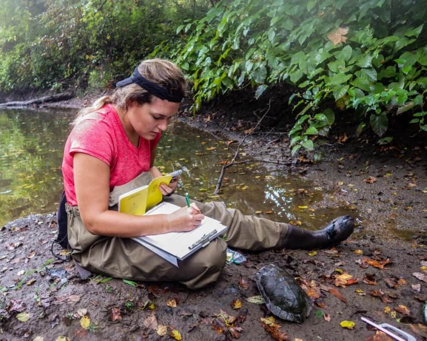 Ayla Ross filling out data sheets during Wood Turtle research